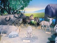 photos 2000-200901016
